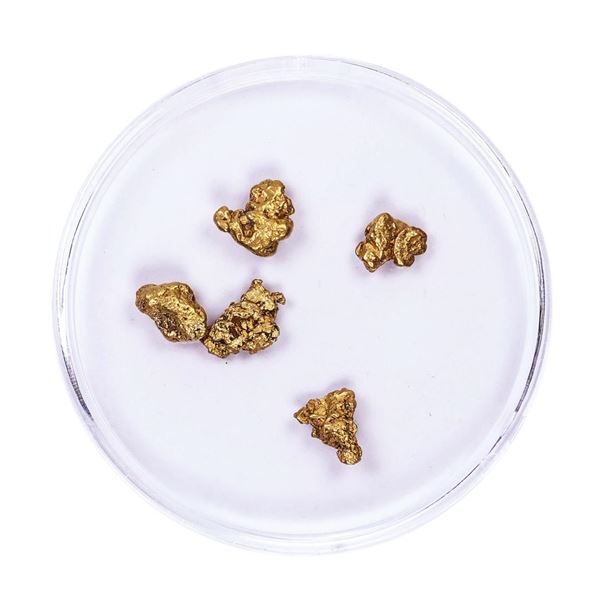 Lot of Gold Nuggets 2.49 grams Total Weight