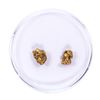 Image 1 : Lot of Gold Nuggets 1.64 Grams Total Weight