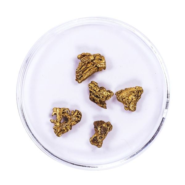Lot of Gold Nuggets 2.96 Grams Total Weight