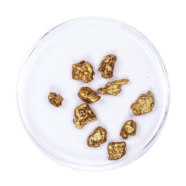 Lot of Gold Nuggets 4.49 grams Total Weight