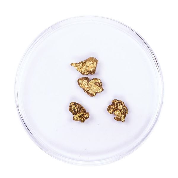 Lot of Gold Nuggets 1.97 grams Total Weight