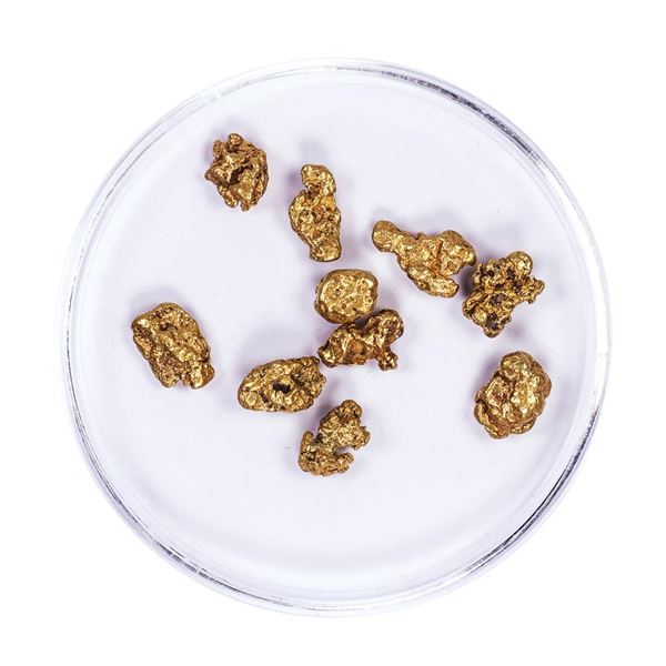 Lot of Gold Nuggets 4.55 grams Total Weight