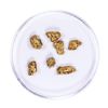Image 1 : Lot of Gold Nuggets 3.26 grams Total Weight