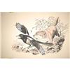 Image 2 : BILL GRIFFITH ORIGINAL ILLUSTRATION ART - 20T