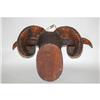 Image 2 : FOLK ART RAMS HEAD CARVED PLAQUE - LATE 19TH-