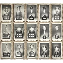 1964-67 Bee Hive Group 3 "Wood Grains" Photos