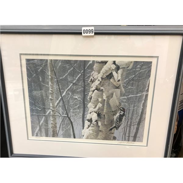 Robert Bateman – Hairy Woodpecker on Birch Ltd Edition Print