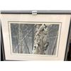 Image 1 : Robert Bateman – Hairy Woodpecker on Birch Ltd Edition Print