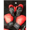 Image 2 : Protocol Boxing Gloves & Speed Bags