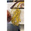 Image 2 : 2 EXTENTION CORDS, TROUBLE LIGHT AND 3 SAWS