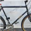 Image 2 : BLACK ARAYA BIKE