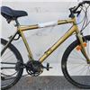 Image 2 : GOLD NO NAME BIKE