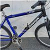 Image 2 : BLUE/BLACK RALEIGH BIKE