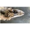Image 2 : FULL BODY WOLF SKIN RUG