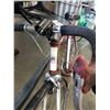 Image 2 : ROMA FIORI ITALIAN ROAD BIKE