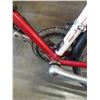 Image 8 : ROMA FIORI ITALIAN ROAD BIKE