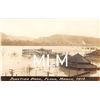 Image 1 : Junction Park Flood 1913 Amusement Park Rochester, PA Photo PC