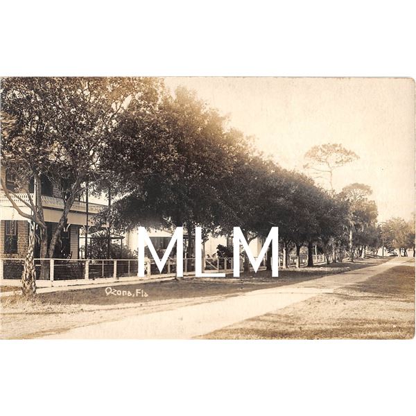 Residental Street Scene Ozona, Florida Photo Postcard