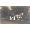 Image 1 : Man on Horse Drawn Wagon Photo Postcard