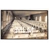Image 1 : Dining Room Wisconsin State Prison Interior Waupun Photo Postcard