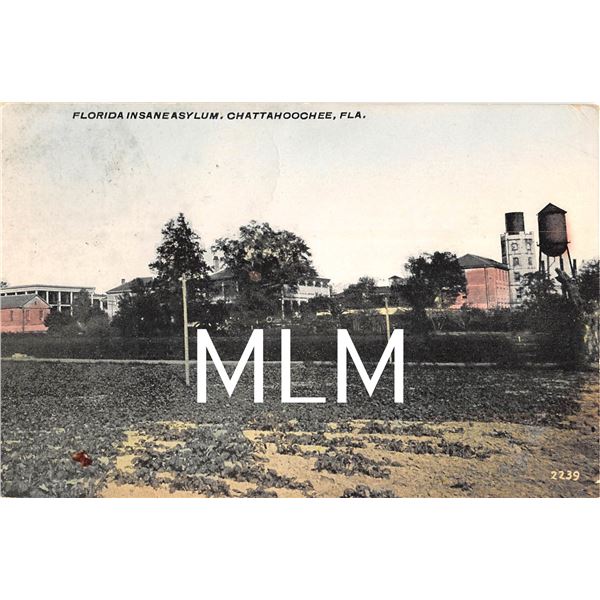 Florida Insane Asylum, Chattahoochee, Fla Postcard