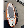 Image 1 : Blow up paddle board missing one fin see picture with paddle