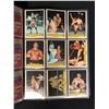 Image 2 : 1985 OPC WWF WRESTLING CARDS SERIES I AND SERIES II