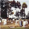 Image 2 : Robert Sheer, "Graveyard Spirits" Limited Edition Single Exposure Photograph, Numbered and Hand Sign