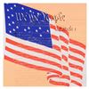 Image 1 : Steve Kaufman (1960-2010) "We the People" Limited Edition Hand Pulled Silkscreen on Canvas, Numbered
