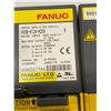 Image 9 : (3) Fanuc #A06B-6124-H209 Servo Amplifier Module