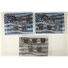 Image 1 : 2005, 2006 & 2007 50 STATE QUARTER SETS 15 COINS