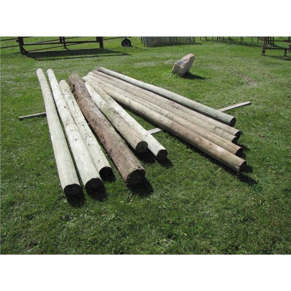 treated posts 12 foot by 6 in plus four miscellaneous posts... x7