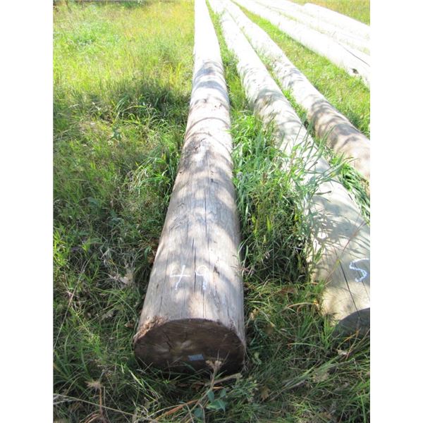 Hydro  pole  approximately 40 ft