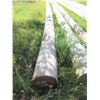 Image 1 : Hydro  pole  approximately 40 ft