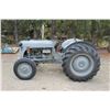 Image 2 : Ferguson Gas tractor 3pt, Restorted, Running  SN TEA127235,