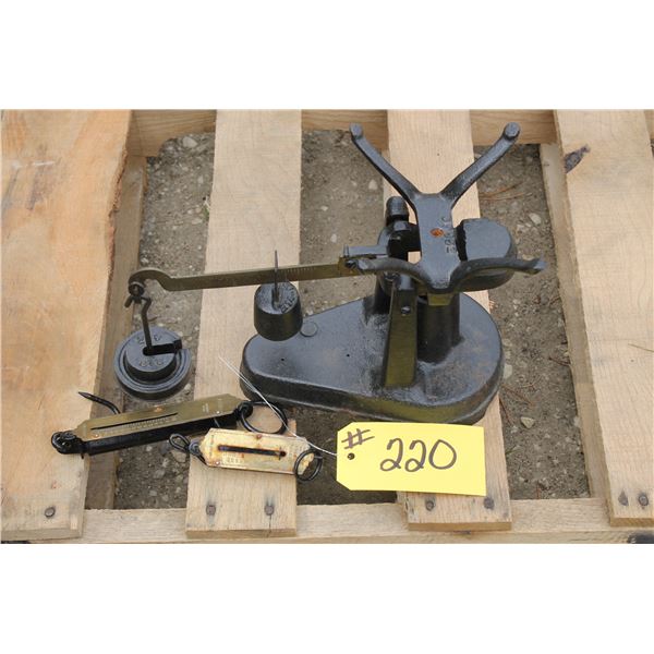 2 - FISH SCALES & 1 - OTHER SMALL SCALE