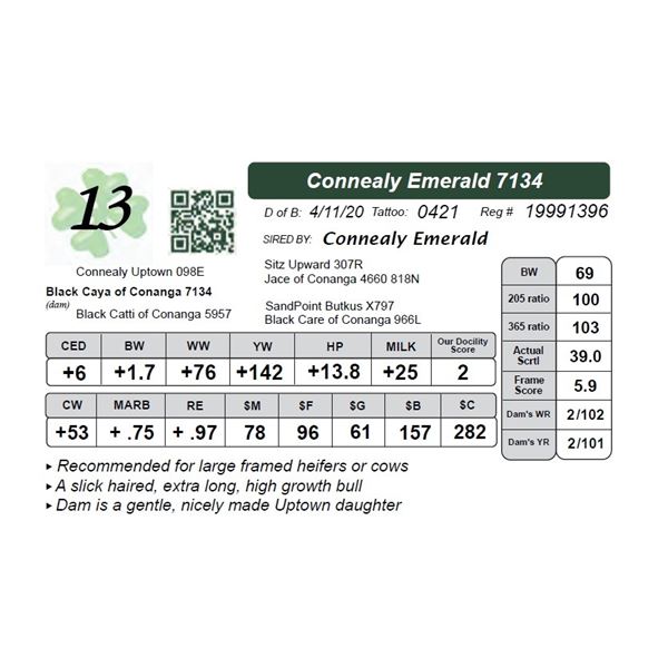 Connealy Emerald 7134