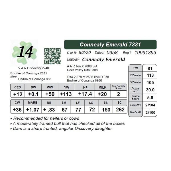Connealy Emerald 7331