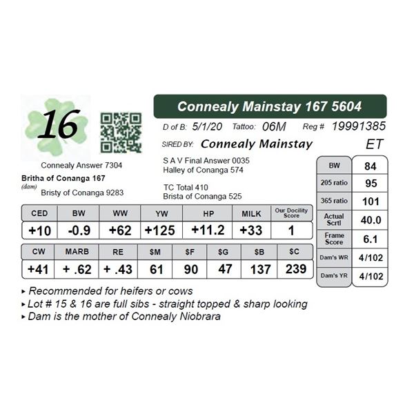 Connealy Mainstay 167 5604