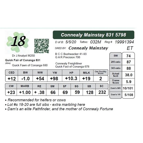 Connealy Mainstay 831 5798