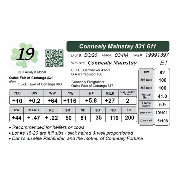 Connealy Mainstay 831 611