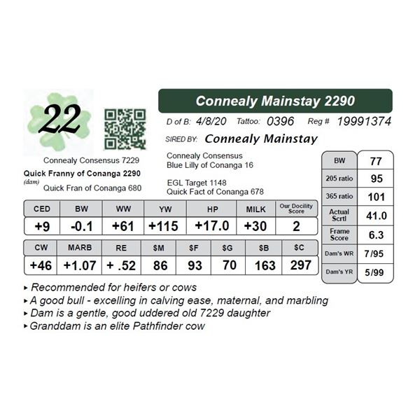 Connealy Mainstay 2290