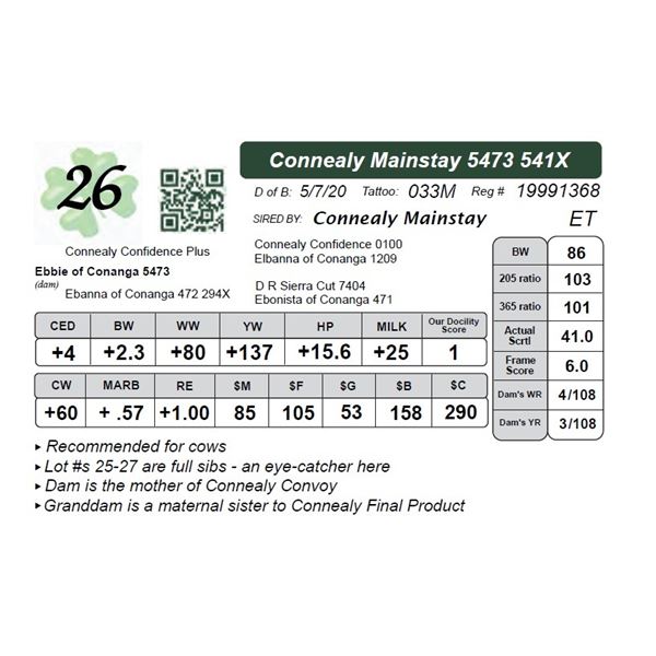 Connealy Mainstay 5473 541X