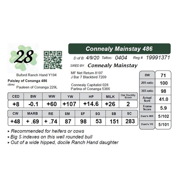 Connealy Mainstay 486