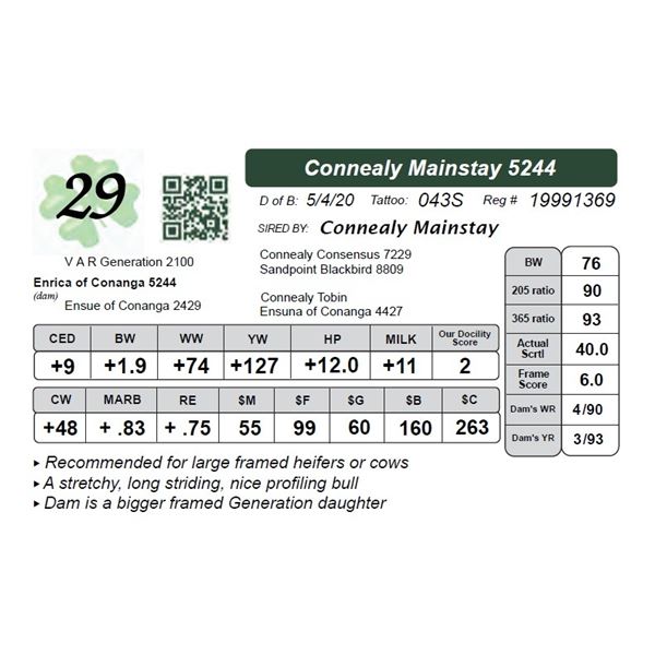 Connealy Mainstay 5244