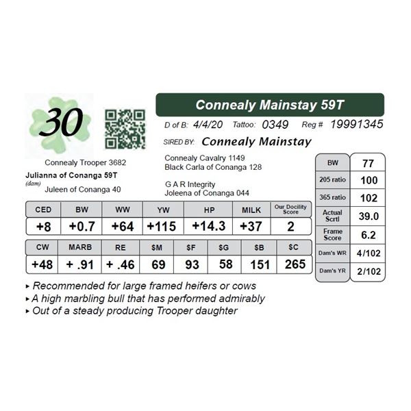 Connealy Mainstay 59T