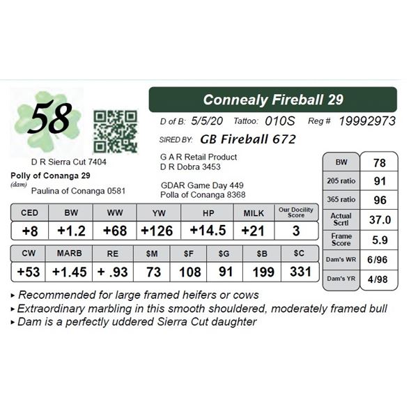 Connealy Fireball 29