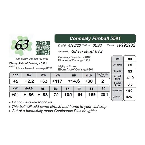 Connealy Fireball 5591