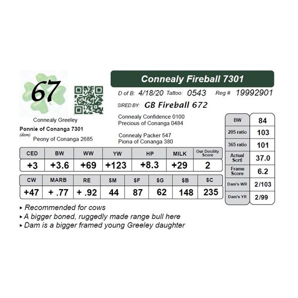 Connealy Fireball 7301