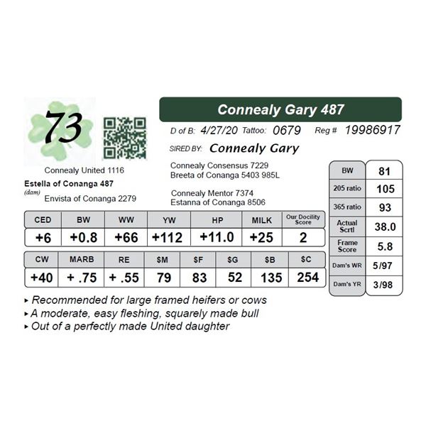 Connealy Gary 487